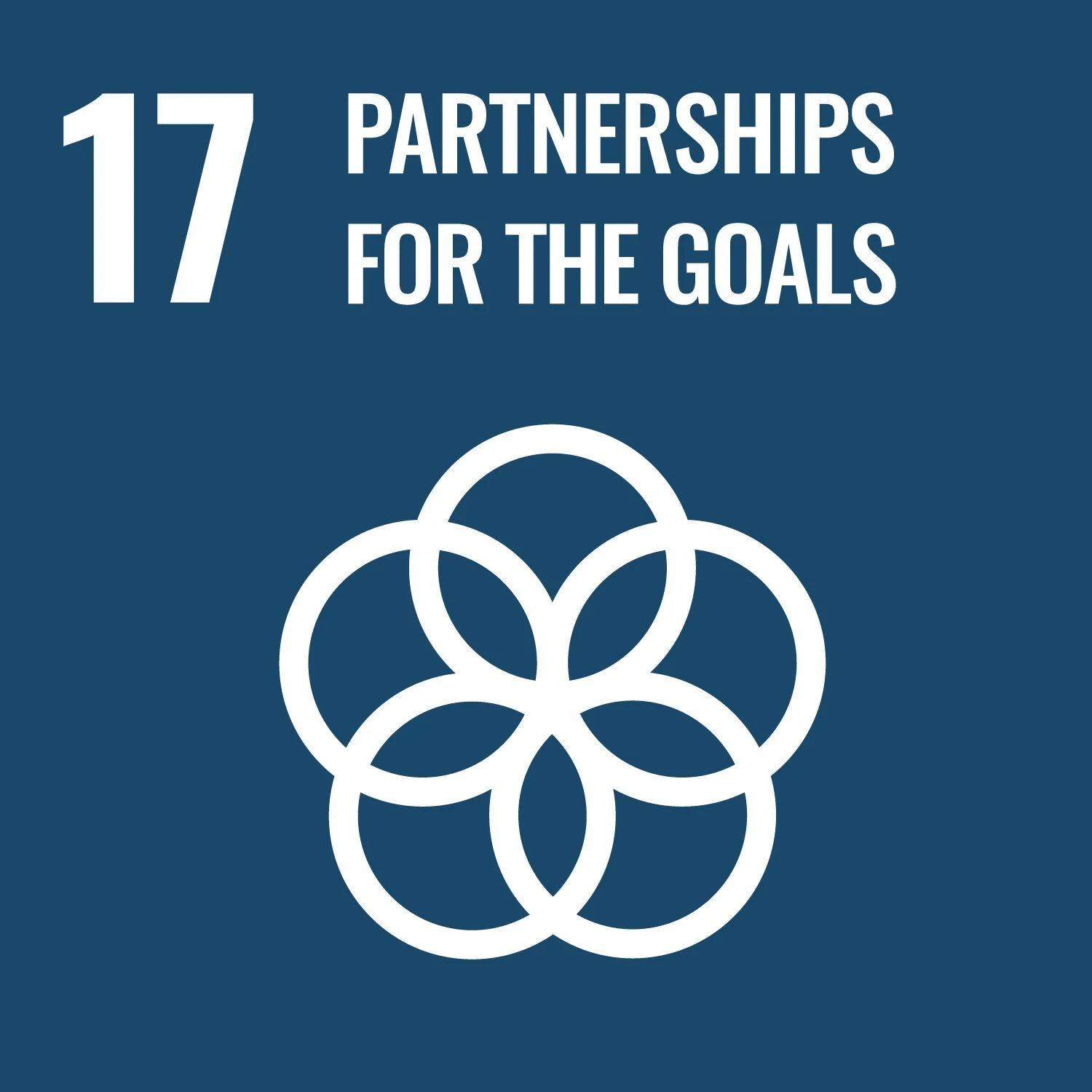 Icon of the 17 Sustainable Development Goals