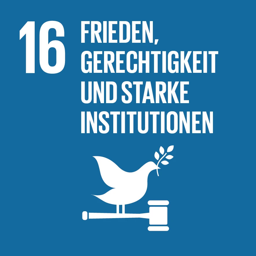 Icon der 17 Sustainable Development Goals