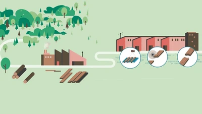illustration from forest to the house