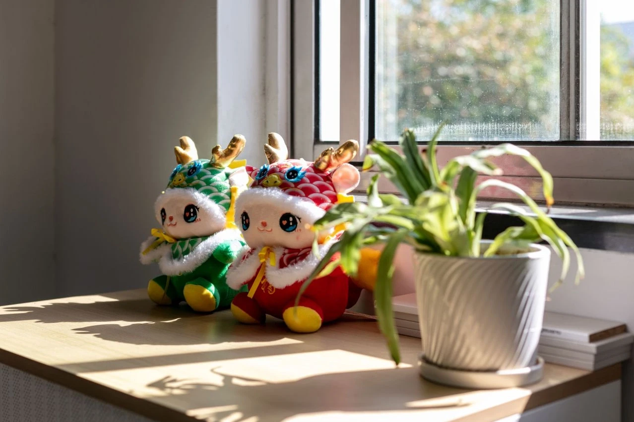 Colorful office decorations in the Shanghai office