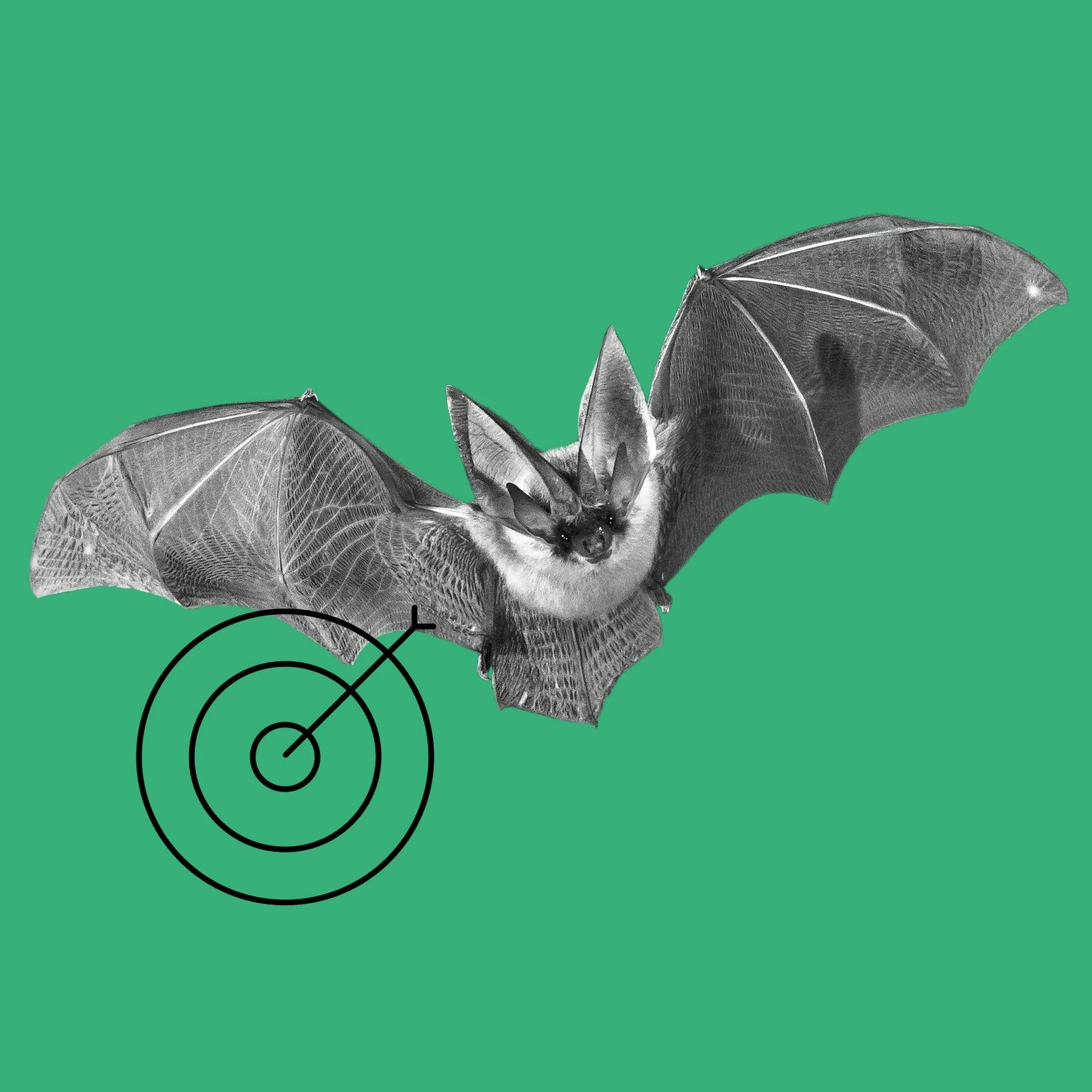 Precise bat