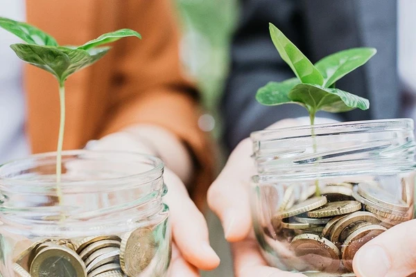 Two glasses with coins and a plant