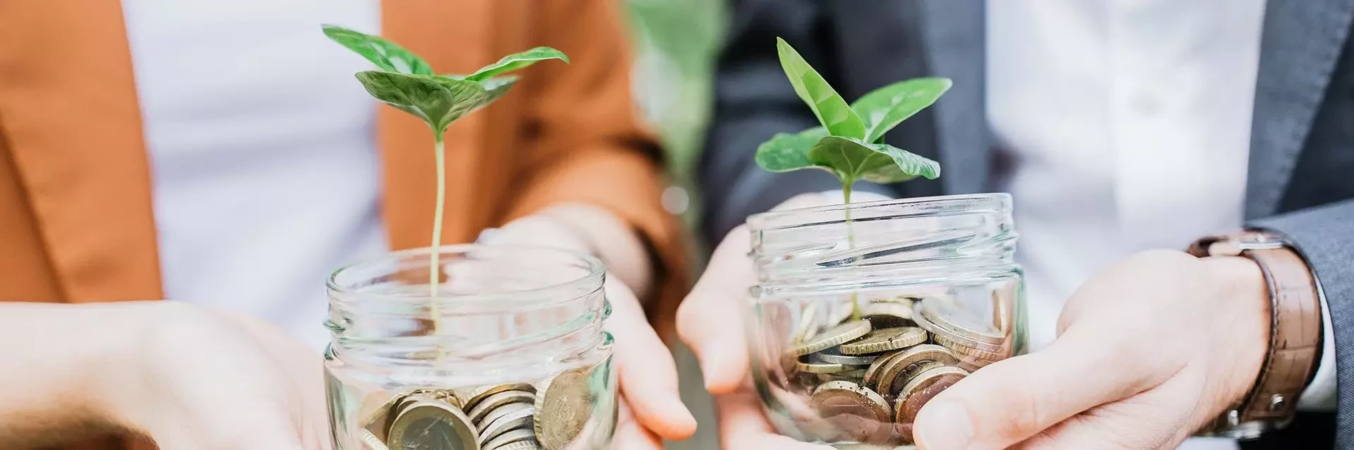 Two glasses with coins and a plant