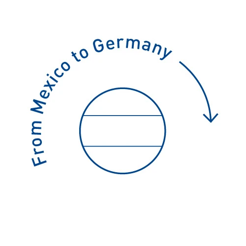 icon 'from mexico to germany' based on an arrow
