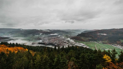 A valley in the black forest