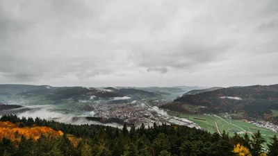 A valley in the black forest