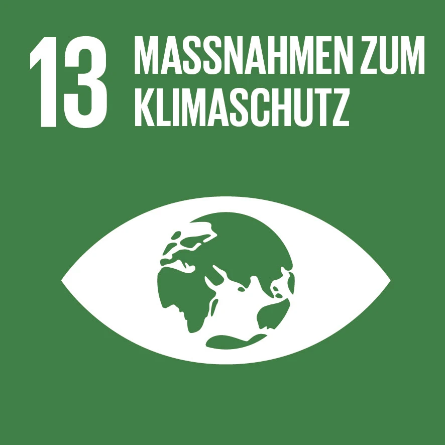 Icon der 17 Sustainable Development Goals