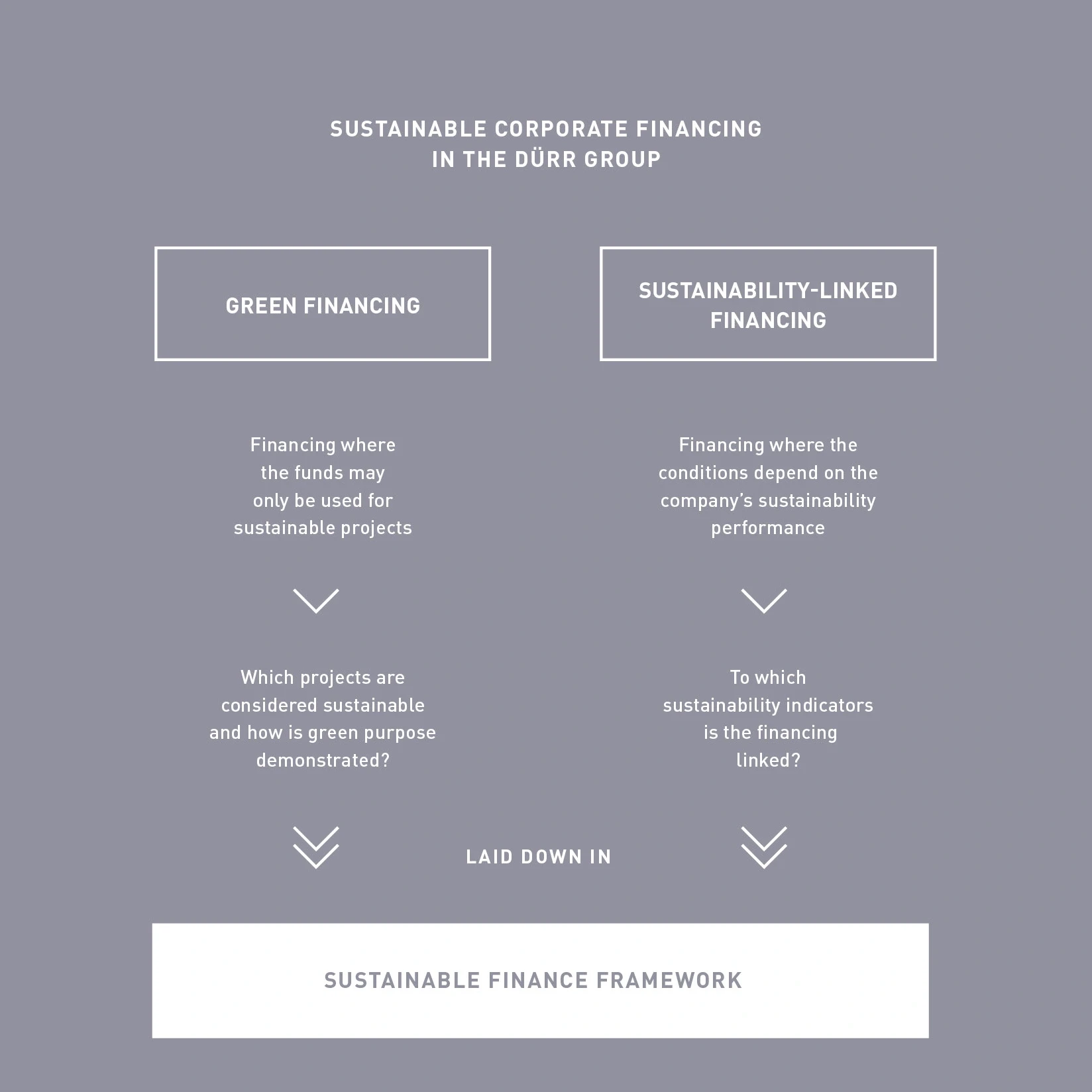 The sustainable finance framework visualized 