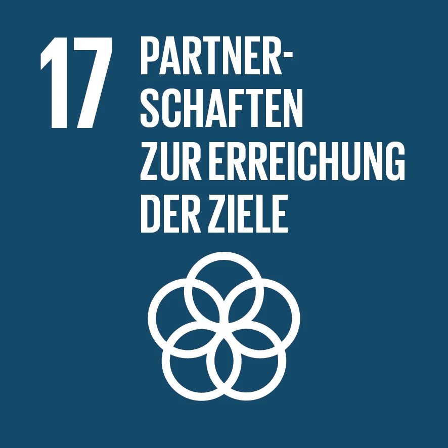 Icon der 17 Sustainable Development Goals