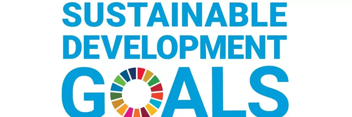 Sustainable Development Goals logo