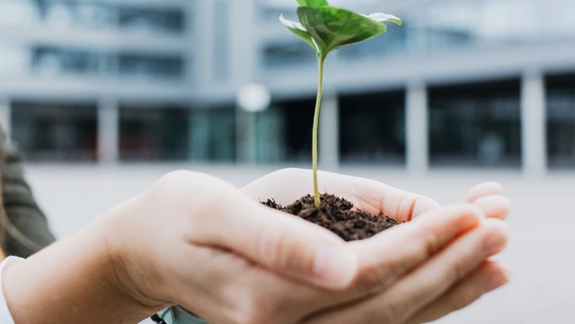 Holding a plant in hands