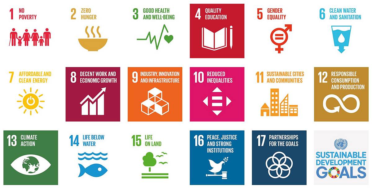 Sustainable Development Goals Durr Group