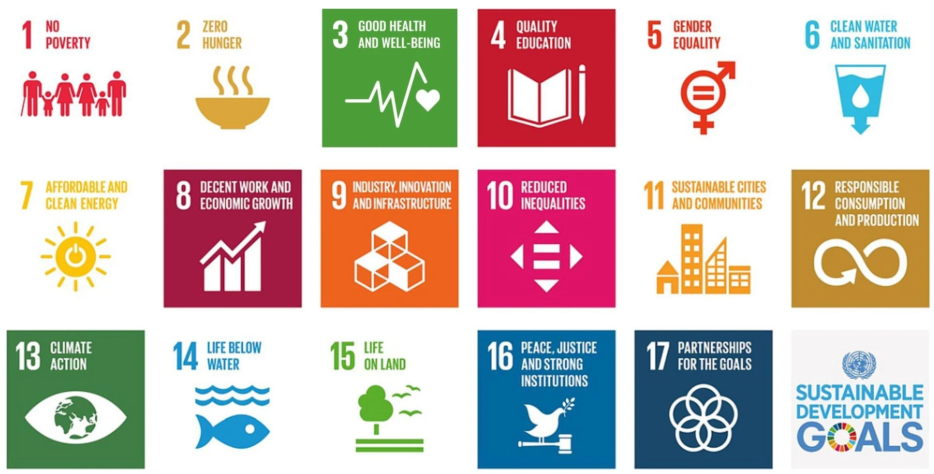 The 17 Sustainable Development Goals (SDGs)