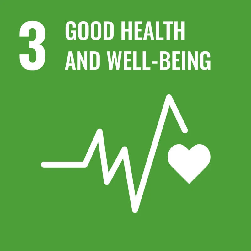Icon of the 17 Sustainable Development Goals