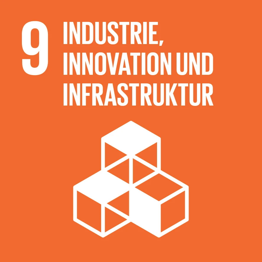 Icon der 17 Sustainable Development Goals