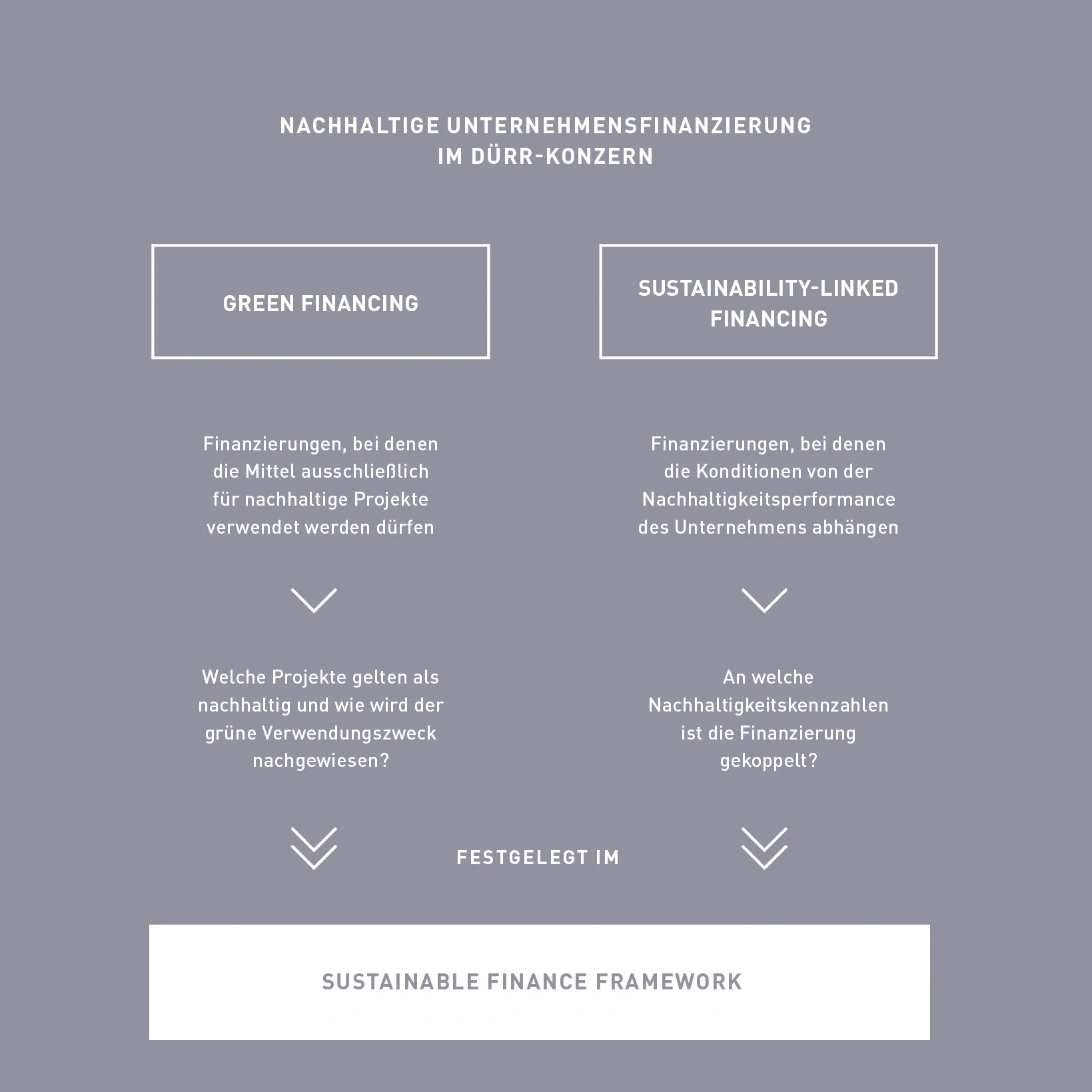 Das Sustainable Finance Framework visualisiert