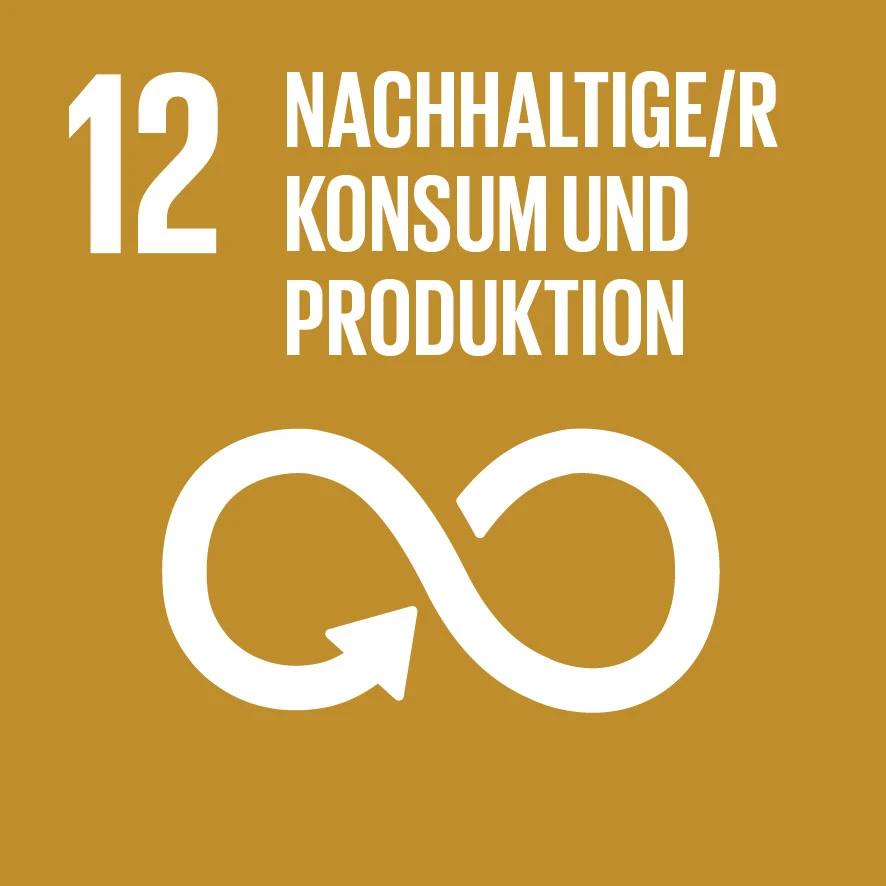 Icon der 17 Sustainable Development Goals