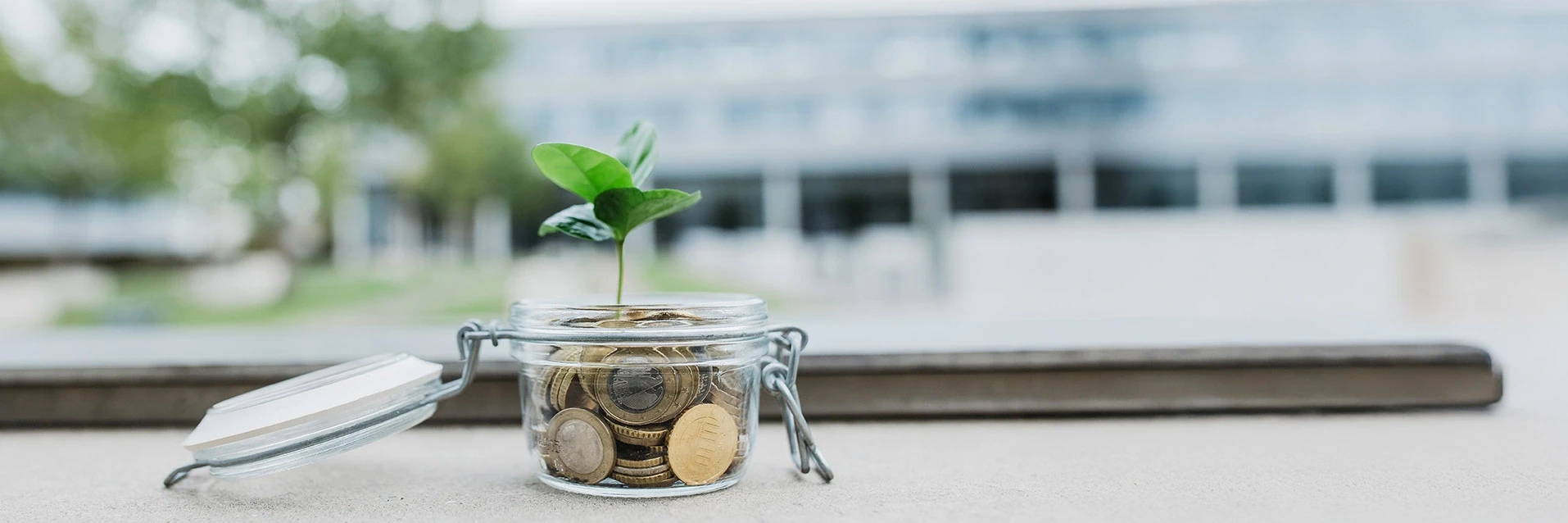 Glass with coins and a plant