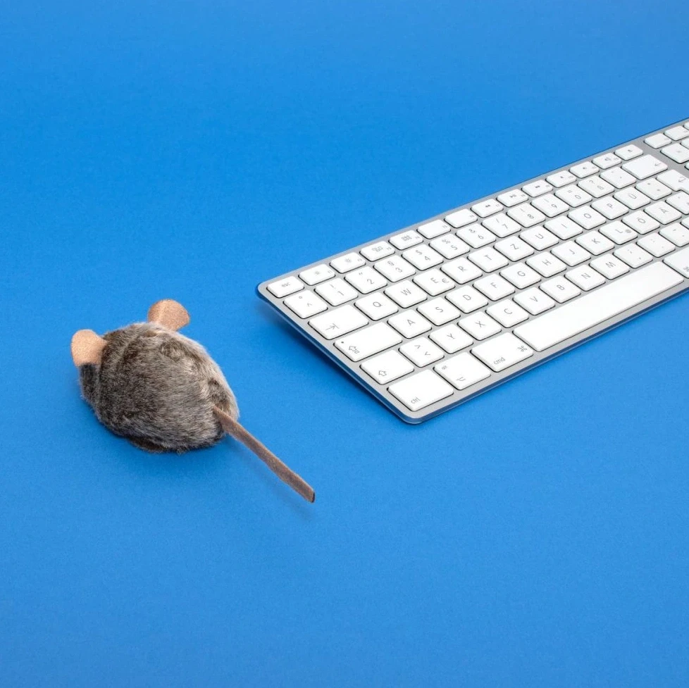 Maus neben einer Computertastatur