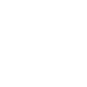 icon data