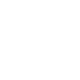 icon data