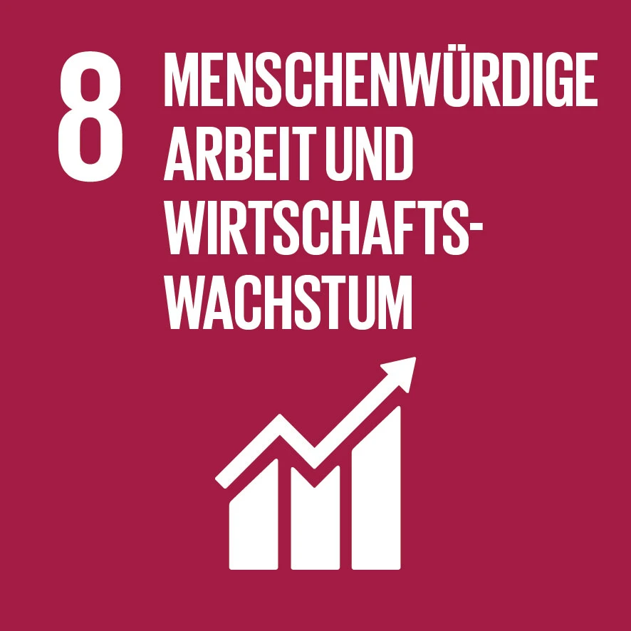 Icon der 17 Sustainable Development Goals