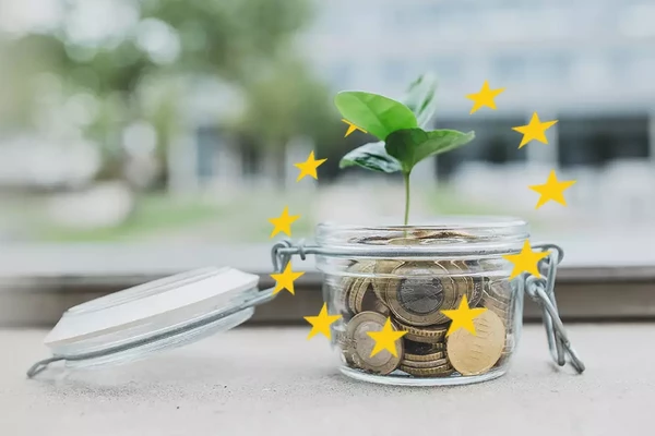 Glas mit Münzgeld und einer Pflanze und den Sternen der EU