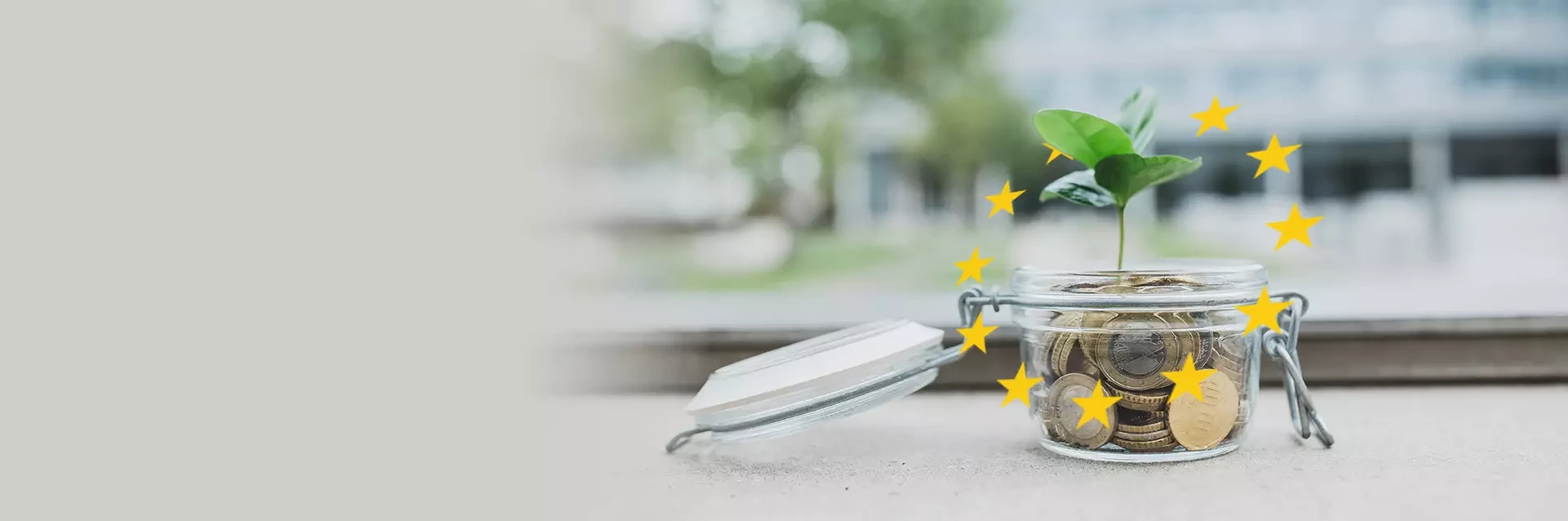 Glass with coins and a plant and the stars of the EU